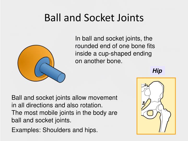 PPT Unit 1 Types of Joints PowerPoint Presentation ID2436374