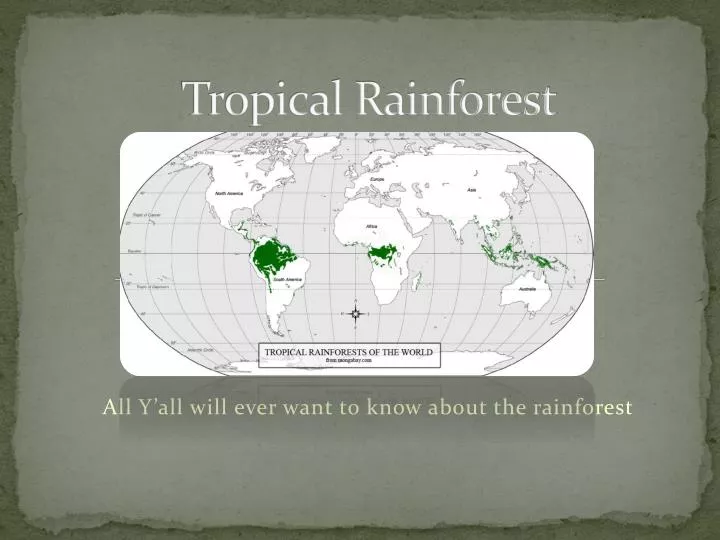 PPT - Tropical Rainforest PowerPoint Presentation, free download - ID ...