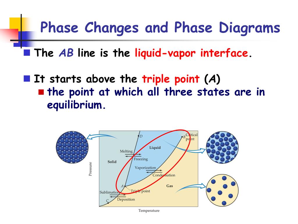 PPT - Phase Changes PowerPoint Presentation, free download - ID:2437650