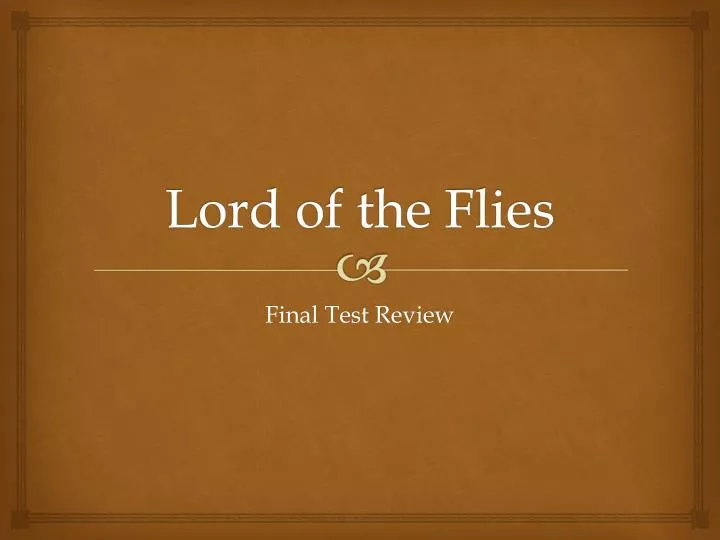lord of the flies n.