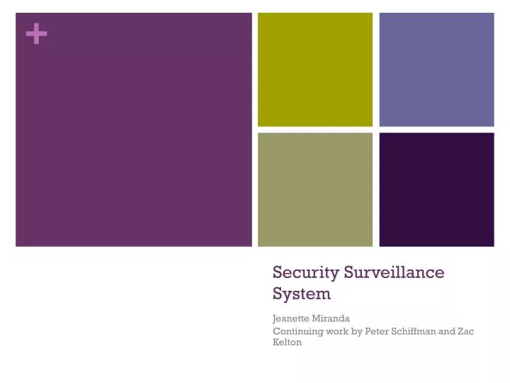security surveillance system n.