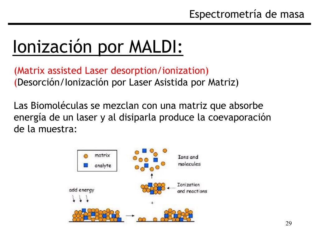 PPT - Fundamentos de Espectrometría de Masa Biológica PowerPoint ...