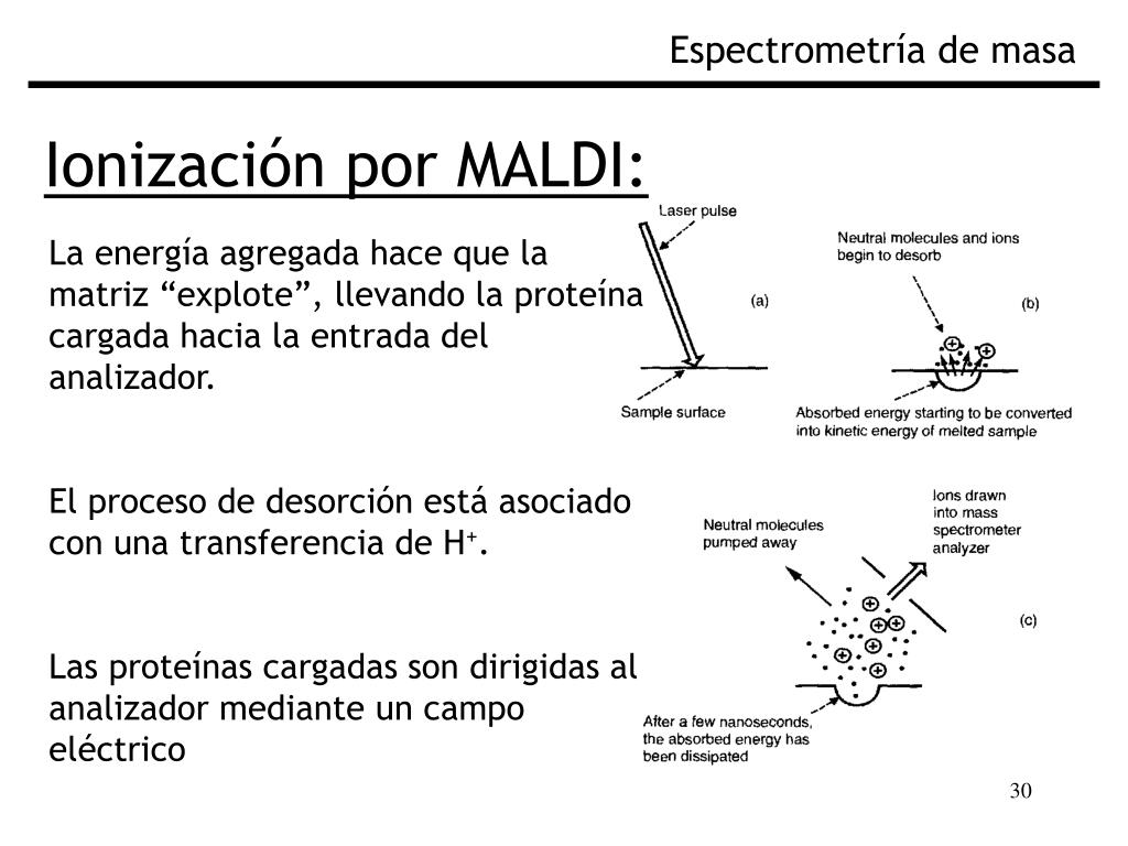 PPT - Fundamentos de Espectrometría de Masa Biológica PowerPoint ...