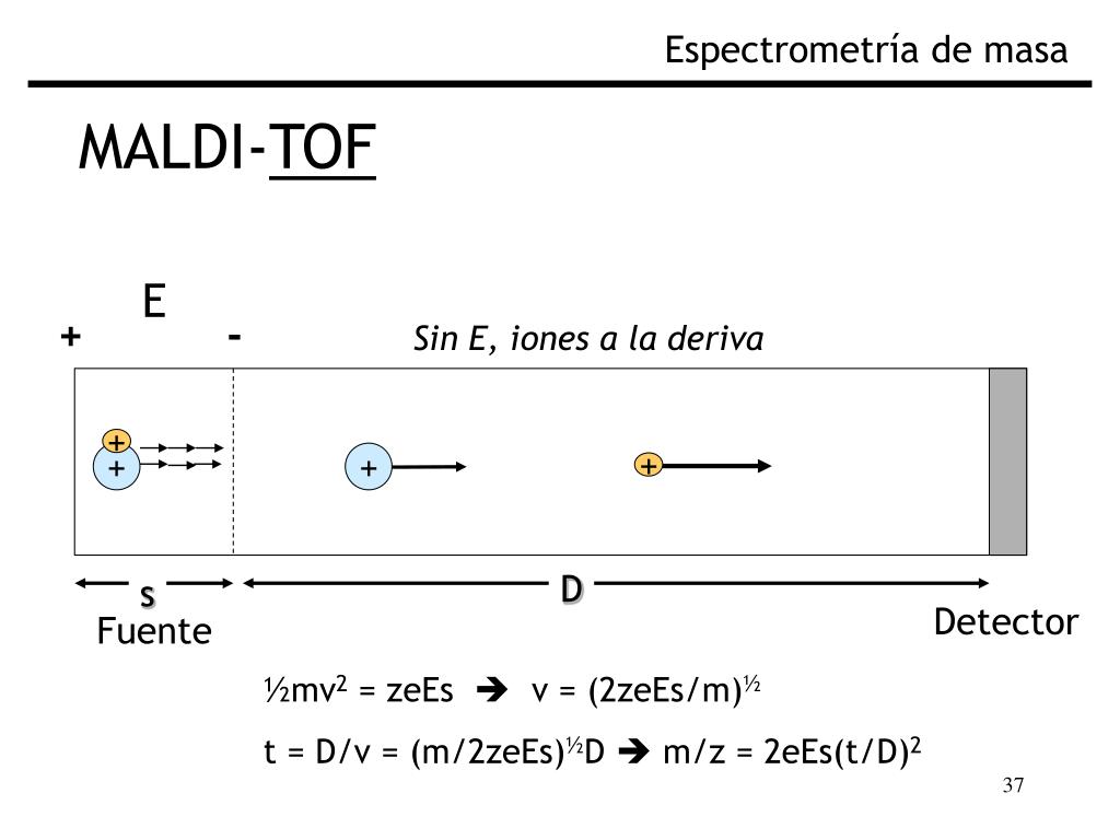 PPT - Fundamentos de Espectrometría de Masa Biológica PowerPoint ...