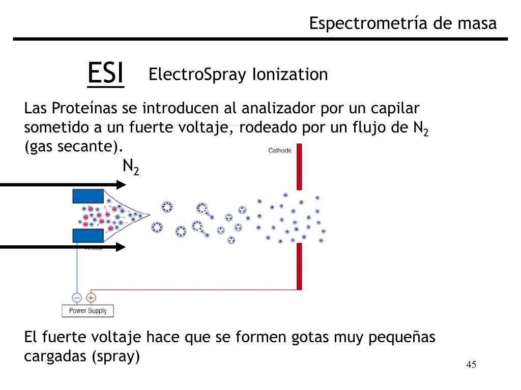 PPT - Fundamentos de Espectrometría de Masa Biológica PowerPoint ...