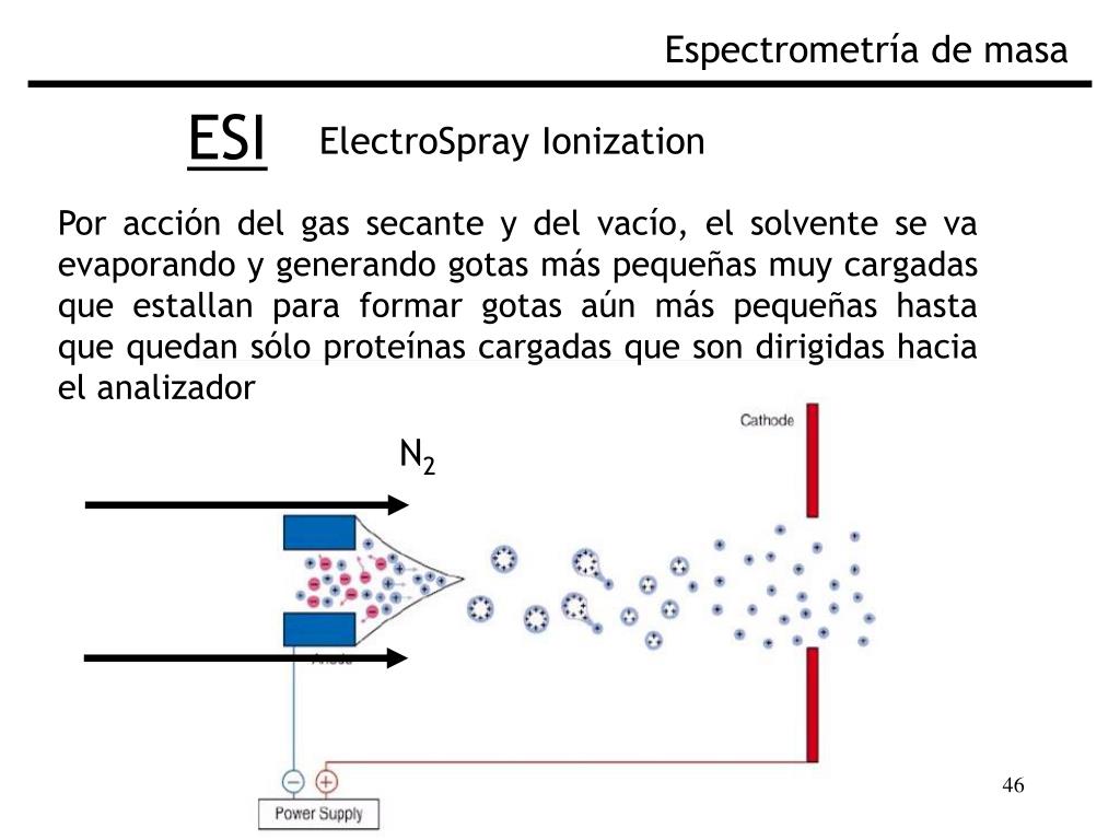 PPT - Fundamentos de Espectrometría de Masa Biológica PowerPoint ...
