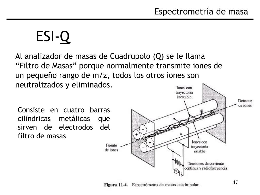 PPT - Fundamentos de Espectrometría de Masa Biológica PowerPoint ...