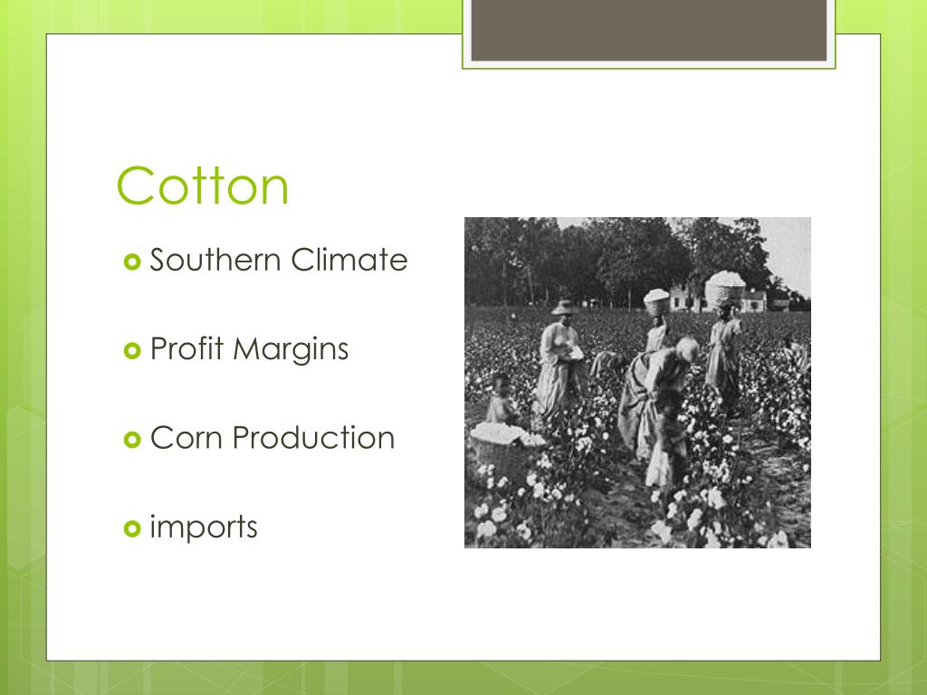 PPT - The Old South and Slavery, 1830-1860 PowerPoint Presentation ...