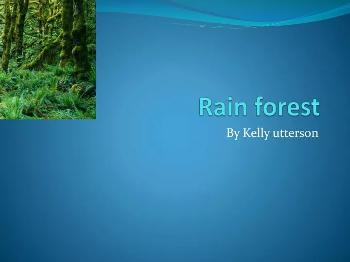 rain forest n.