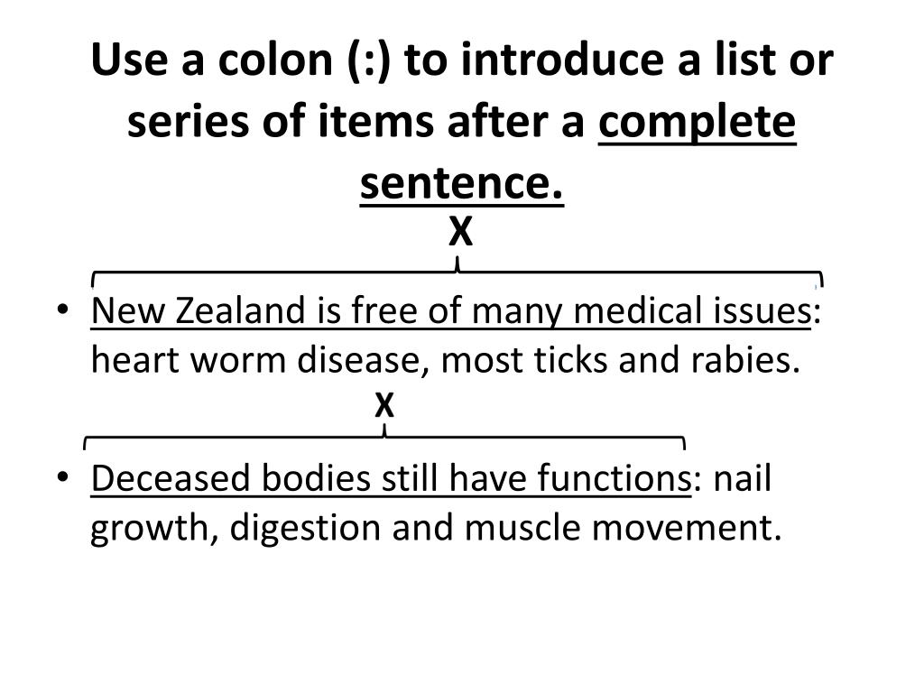 PPT The Colon Why We Learn It PowerPoint Presentation Free 