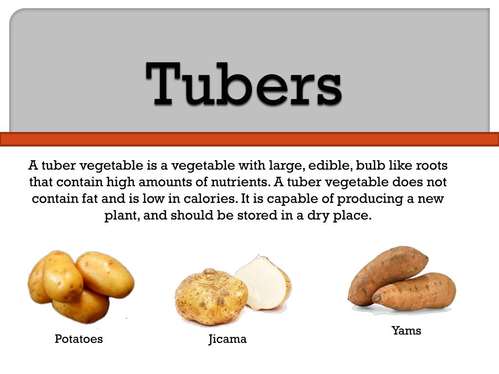 PPT Tubers PowerPoint Presentation Free Download ID 2442161 ppt-tubers-powerpoint-presentation-free-download-id-2442161