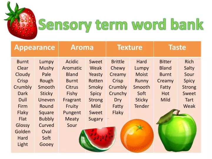 PPT Sensory term word bank PowerPoint Presentation, free download ID2442580