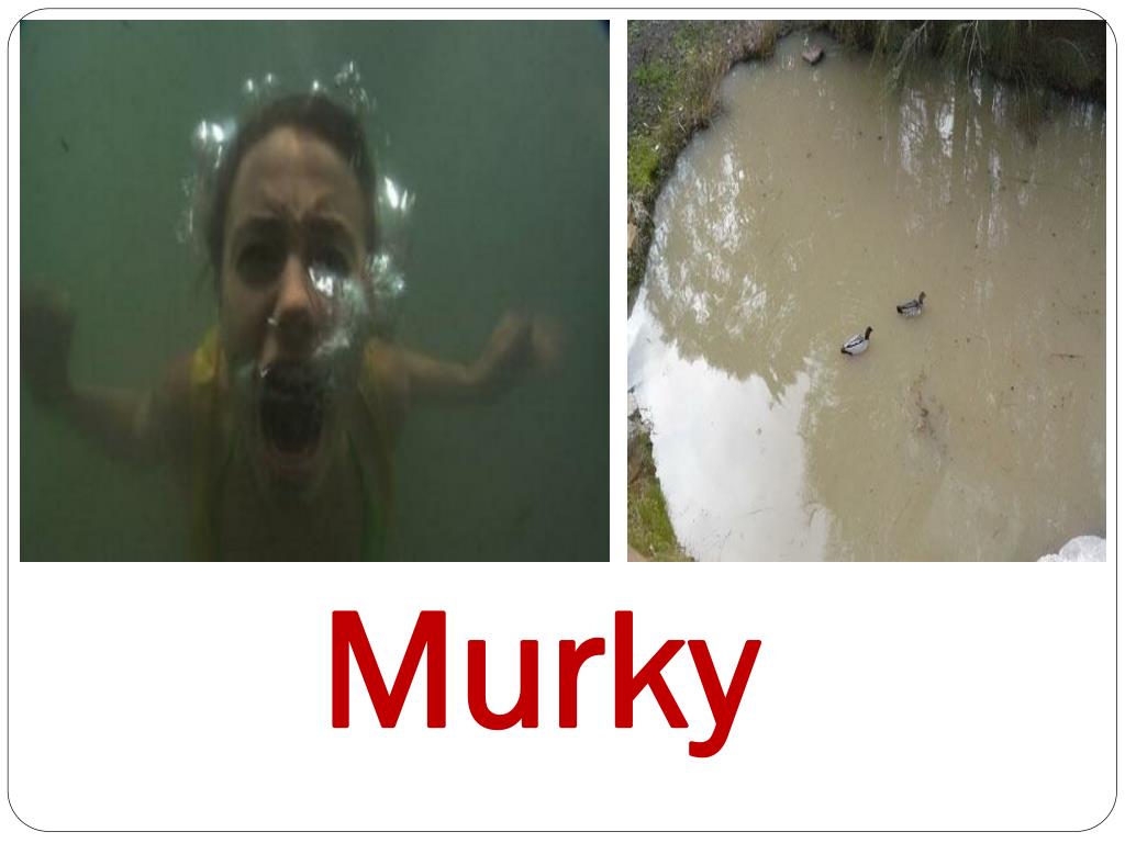 PPT Vocabulary Silver Week 16 Wordwall PowerPoint Presentation, free