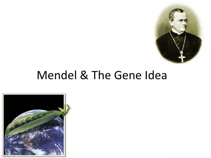 PPT - Mendel & The Gene Idea PowerPoint Presentation, free download ...
