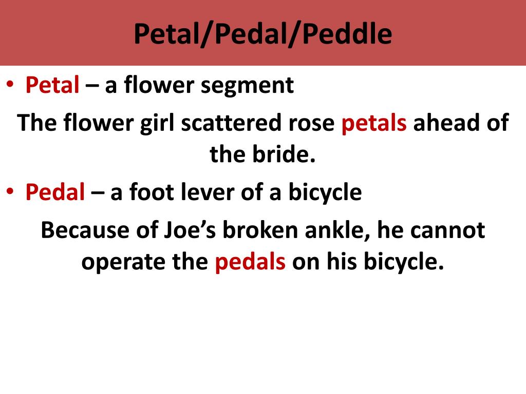 PPT - Petal/Pedal/Peddle PowerPoint Presentation - ID:2444901