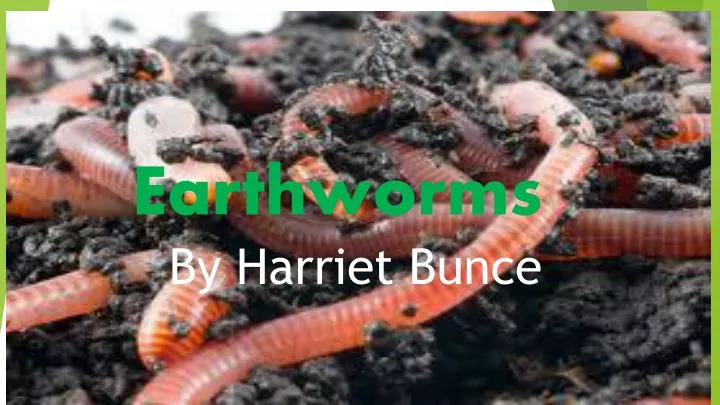 download earth worms download earth worms
