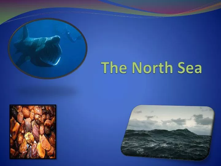 the north sea n.