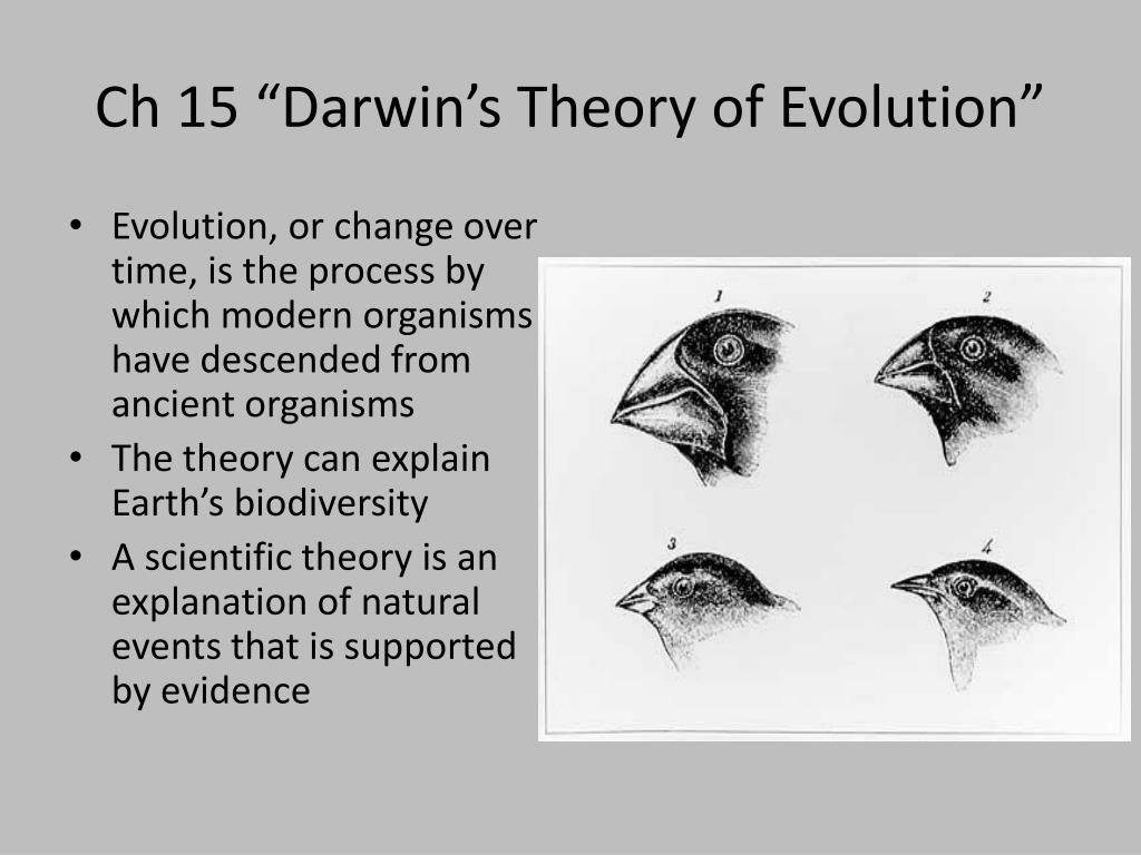 Darwin's theory of Evolution: A REALLY SIMPLE and Brief