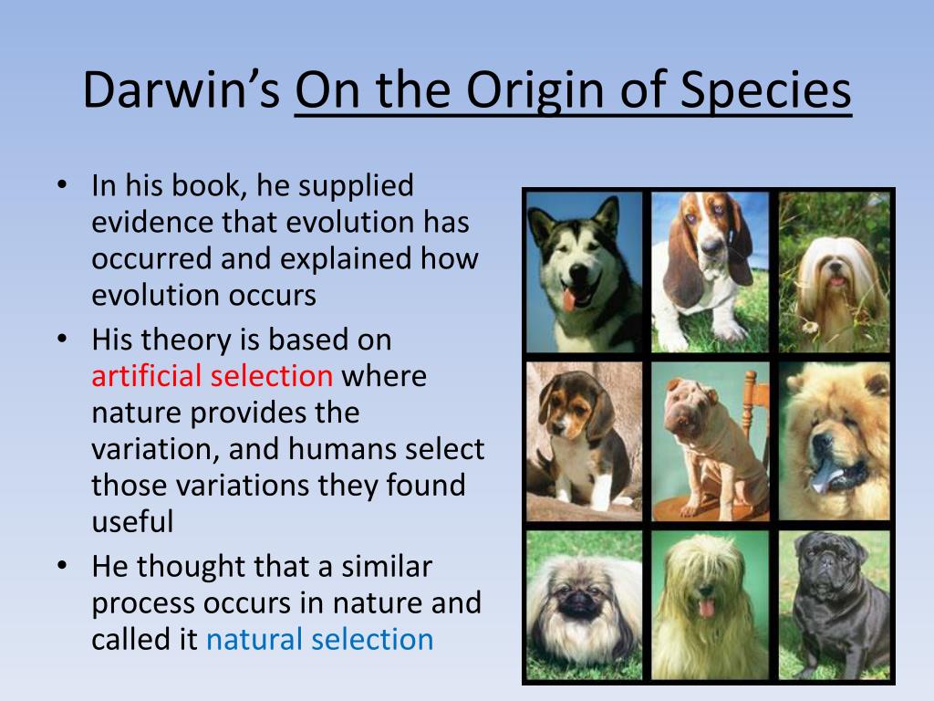 what influenced darwins theory of natural selection