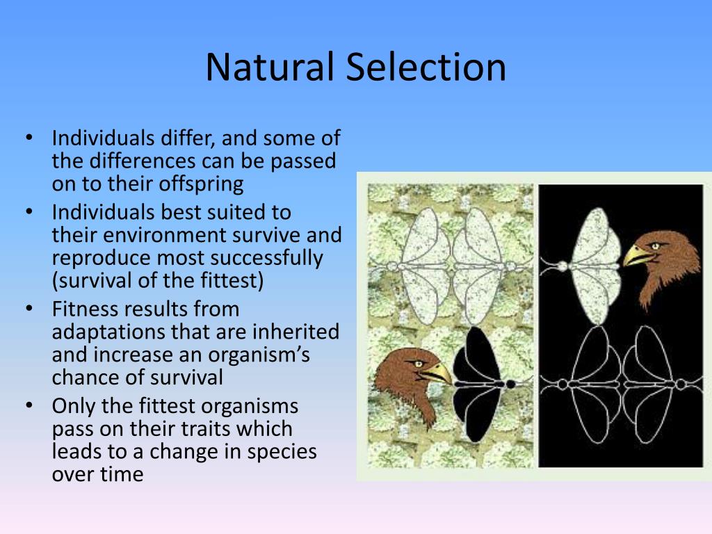 examples of darwins theory