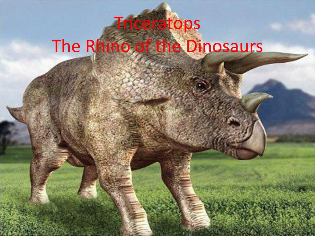 PPT - Dinosaurs PowerPoint Presentation, free download - ID:2446242