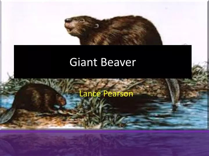 PPT Giant Beaver PowerPoint Presentation, free download ID2446748