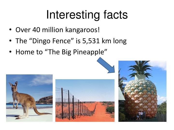 interesting facts about australia presentation