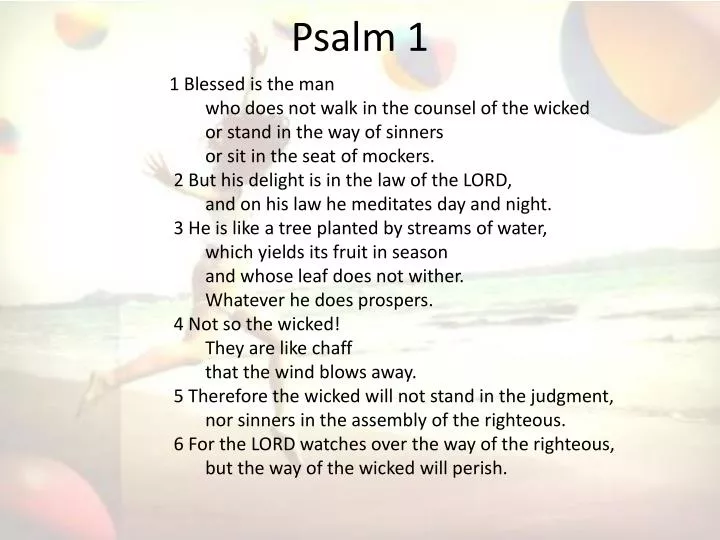 Niv Bible Psalm 1 GaiusTimoor
