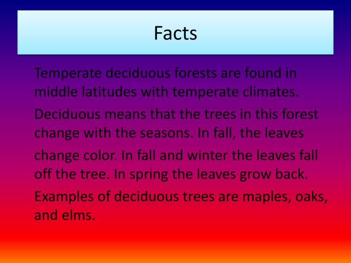 PPT T Emperate Deciduous Forest Meteorologist PowerPoint