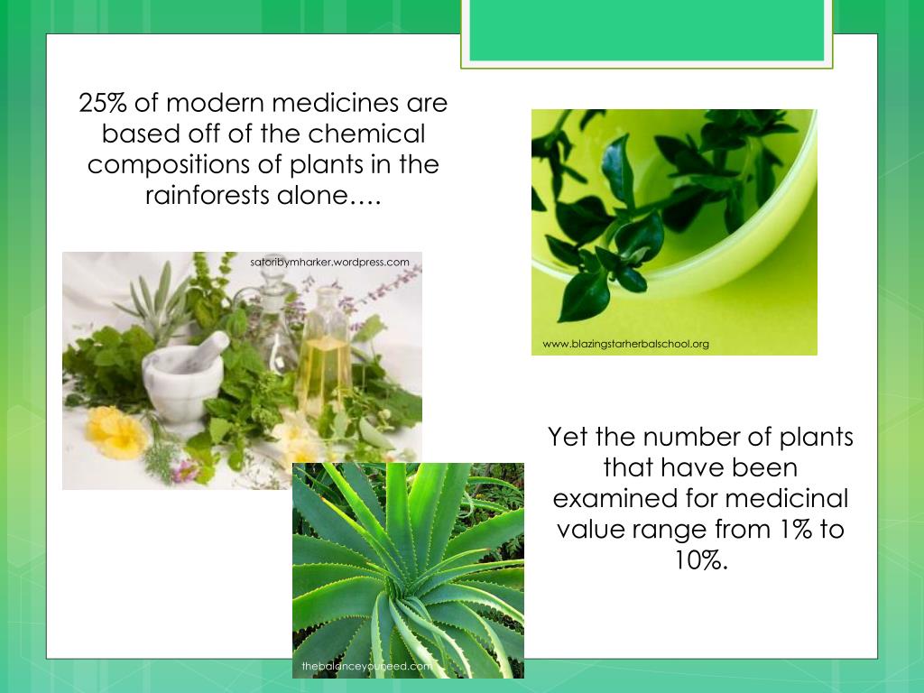 PPT Phytochemistry and Conservation Concerning Medicinal Plants of
