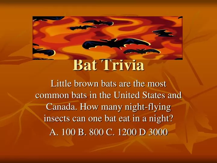 powerpoint trivia