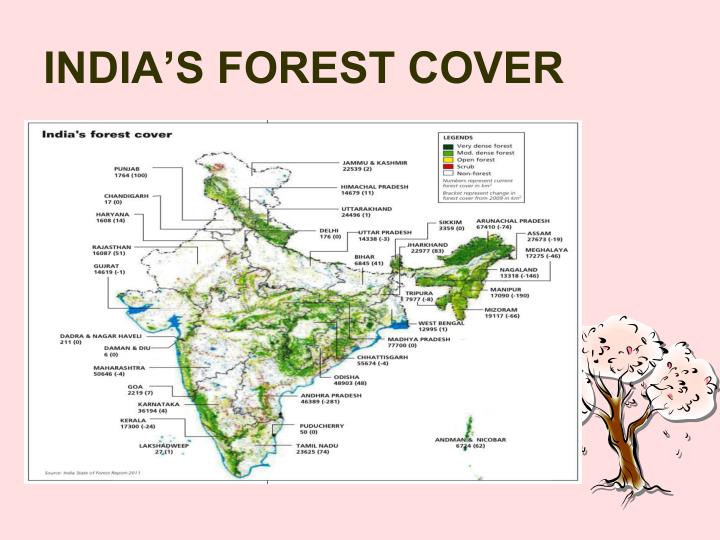 PPT - WHOSE FORESTS ? PowerPoint Presentation - ID:2450024