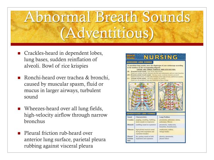 adventitious breath sounds adventitious breath sounds