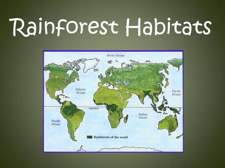 PPT Rainforest Habitats PowerPoint Presentation, free download ID
