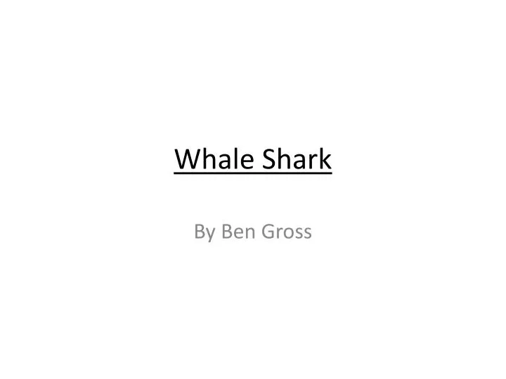 whale shark n.