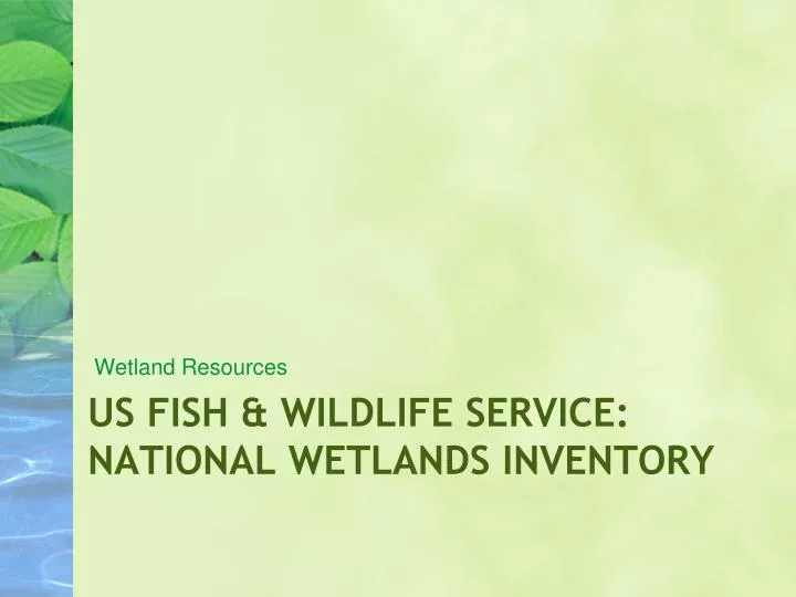 Us Fish And Wildlife National Wetlands Inventory Ppt - Us Fish & Wildlife Service: National Wetlands Inventory Powerpoint  Presentation - Id:2452087