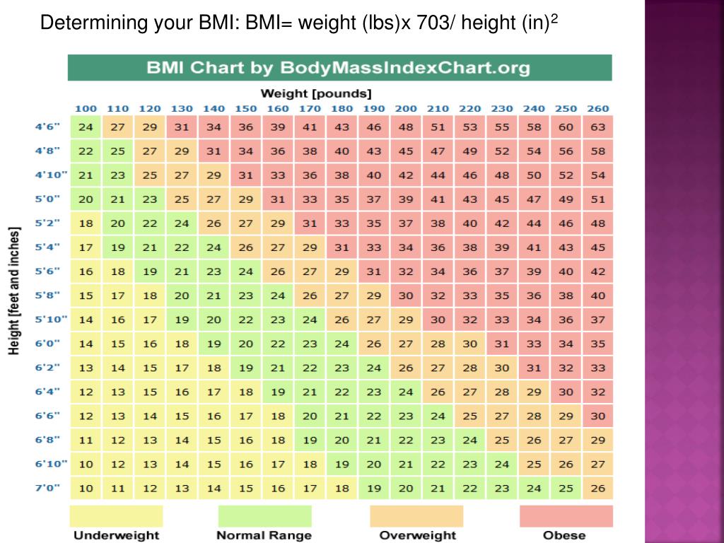 Ppt Ch 6 Managing Weight And Body Composition Powerpoint
