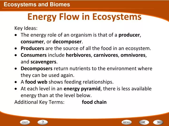 PPT - Energy Flow In Ecosystems PowerPoint Presentation, Free Download ...