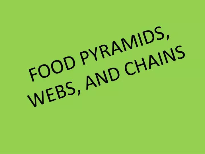 food pyramids webs and chains n.