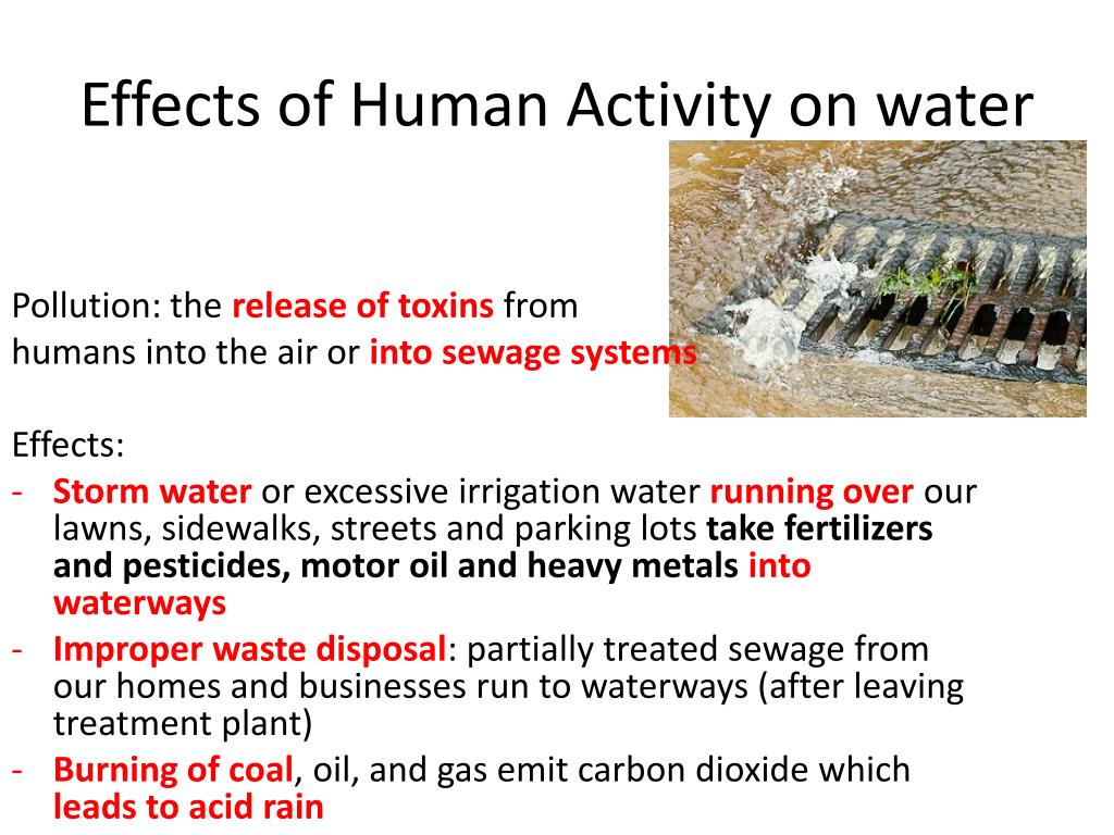 case study how does human activity affect rivers worksheet answers