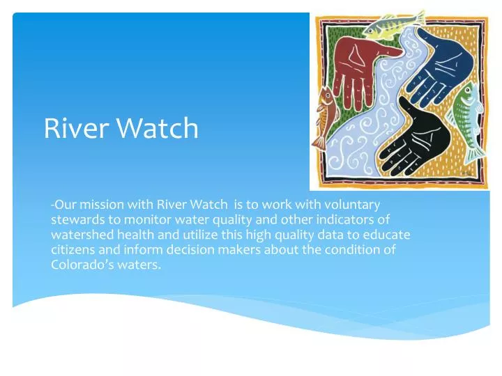 river watch n.