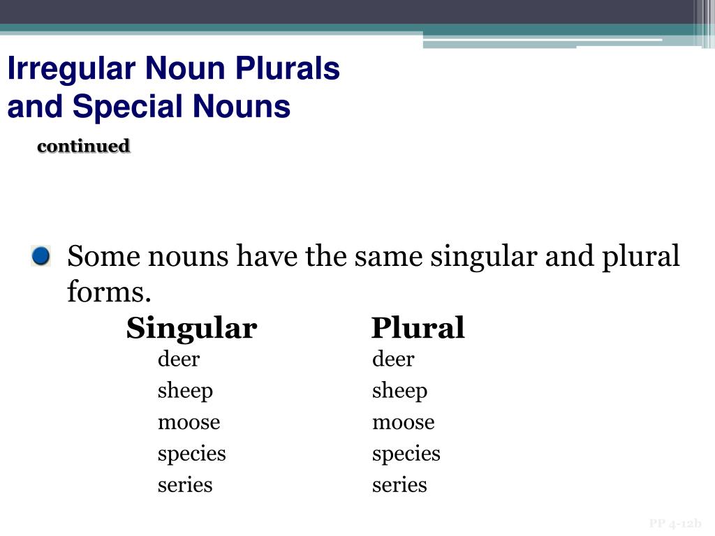 Ppt Regular And Irregular Plural Nouns Powerpoint Presentation