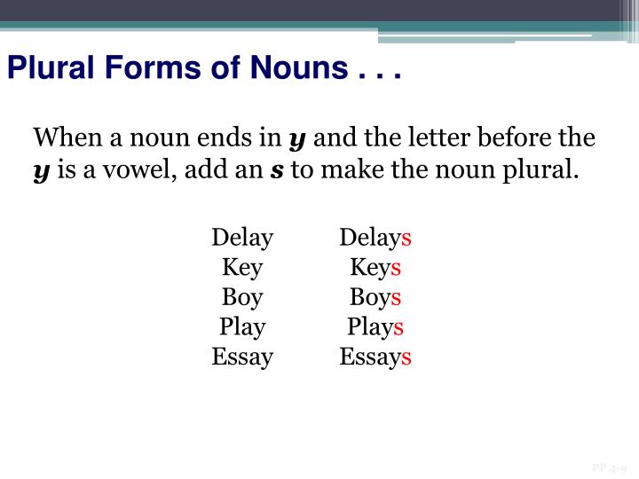 essays plural