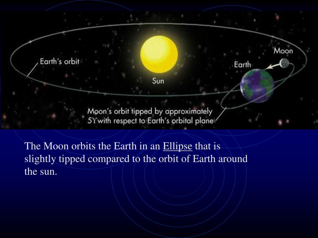 The earth goes round the sun