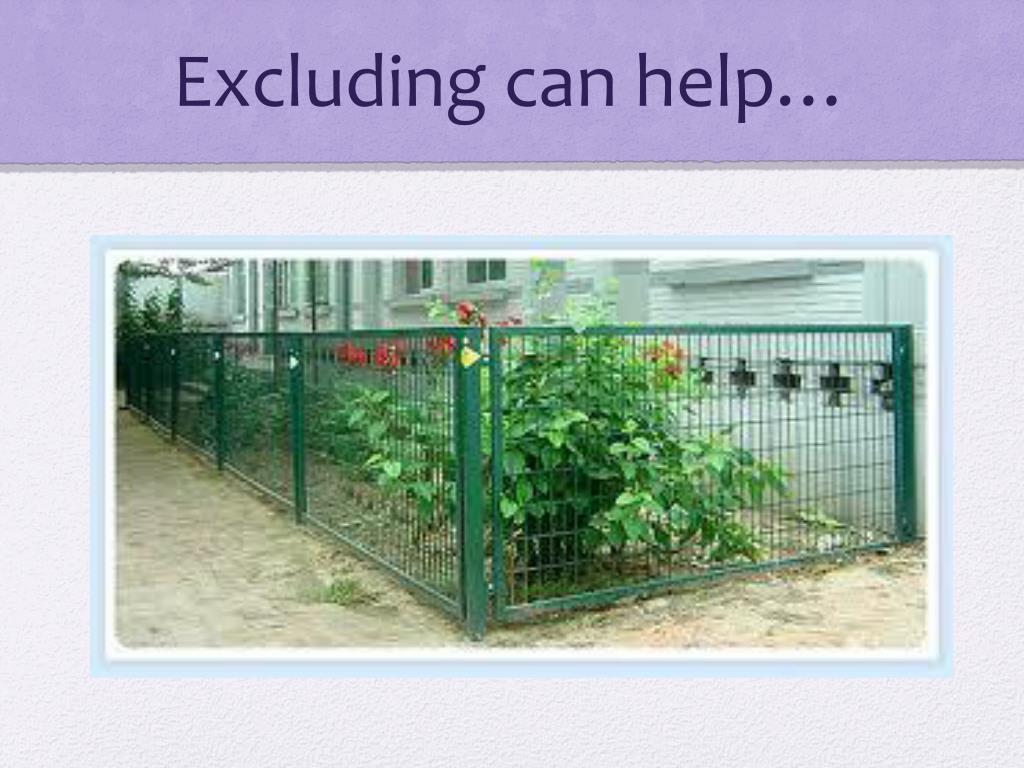 PPT - The Great Wall of China PowerPoint Presentation, free download ...