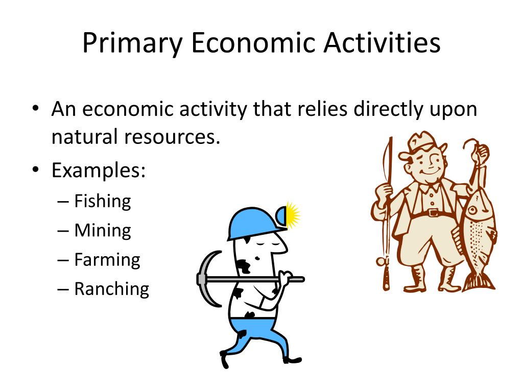 definition of primary economic activity