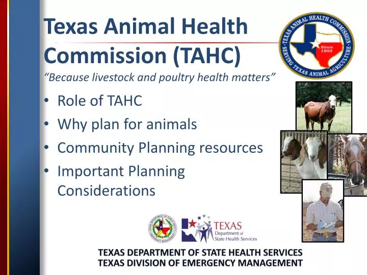 PPT Texas Animal Health Commission (TAHC) “Because livestock and