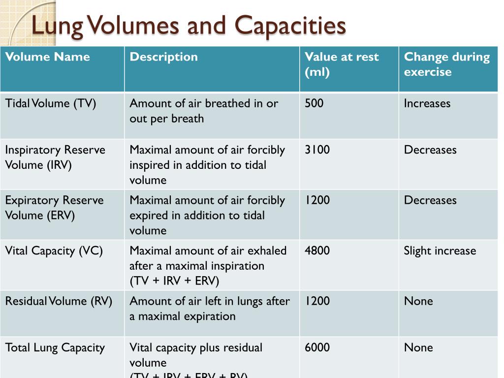 Lung Volumes And Capacities Chart