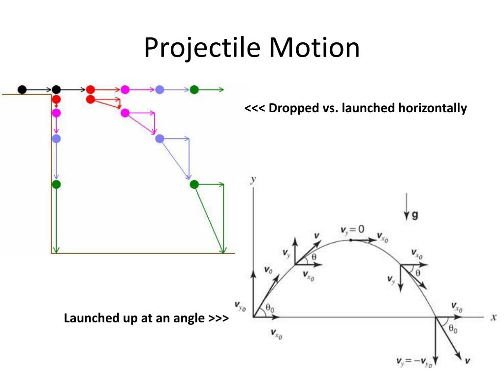 Projectile Motion Free Body Diagram