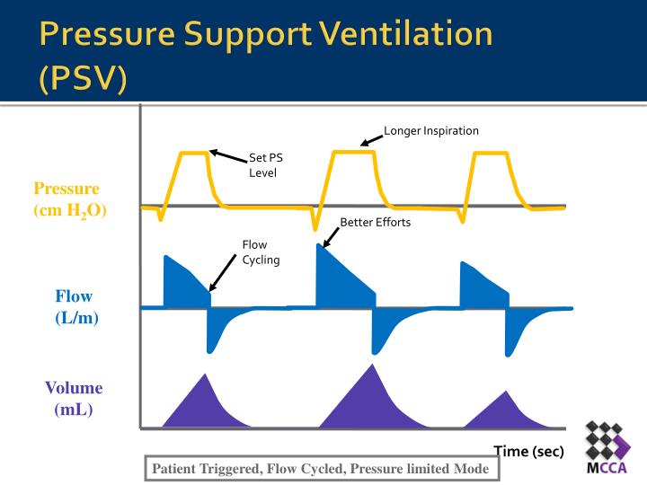 PPT - CPAP/PSV PowerPoint Presentation - ID:2462851